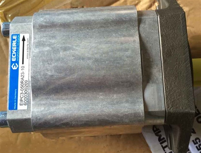 Модуль Eckerle EIPC3-050RA23-10 Injection Molding Machine Servo Gear Pump
