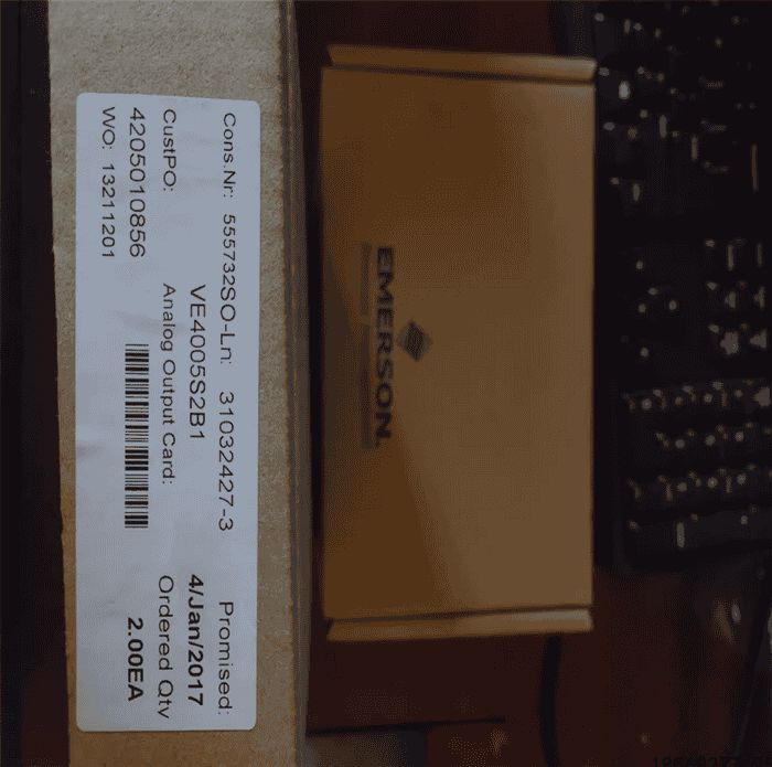 Модуль EMERSON VE4005S2B1