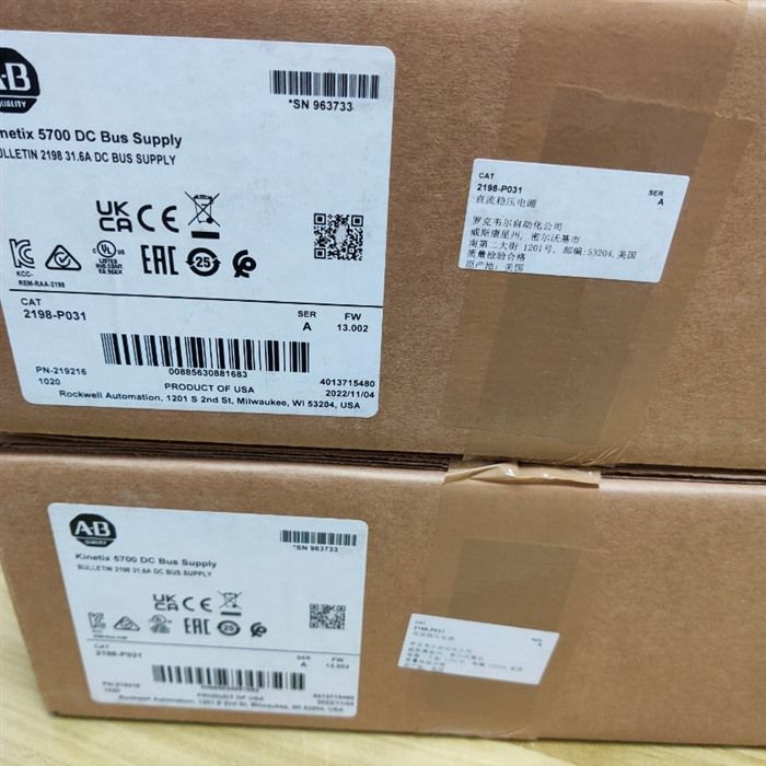 Модуль Allen-Bradley 2198-P031
