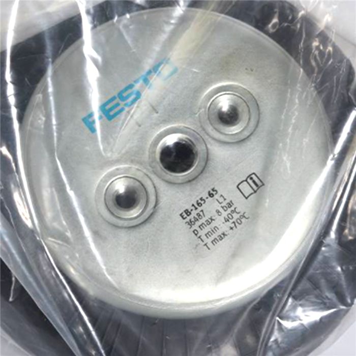 Модуль FESTO EB-165-65 36487 Bladder Cylinder